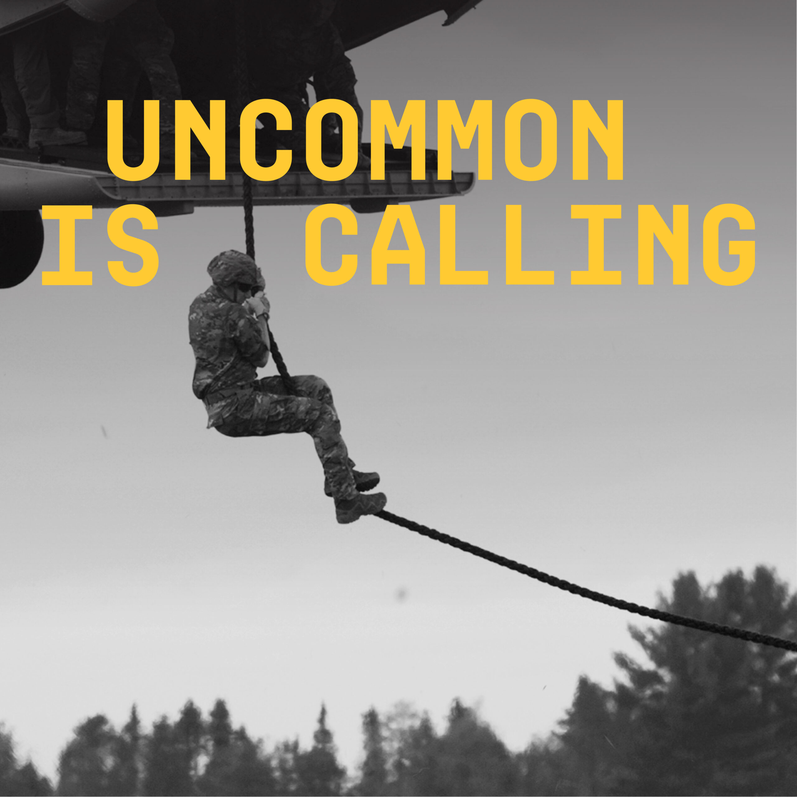 Uncommon is Calling: Images - ARNG Social Media Guide